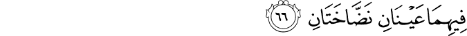 Surah 55 Ayah 66