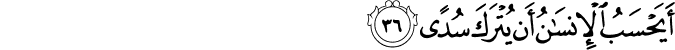 Surah 75 Ayah 36