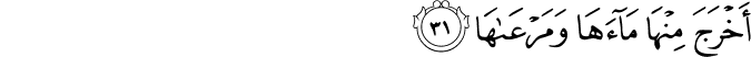 Surah 79 Ayah 31