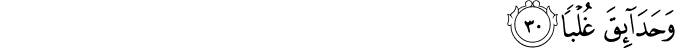 Surah 80 Ayah 30