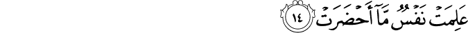 Surah 81 Ayah 14